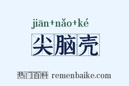 尖脑壳是什么意思的图片